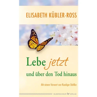 Abbildung von Lebe jetzt und über den Tod hinaus: Vorwort von Ruediger Dahlke