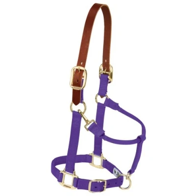 Abbildung von Weaver Leather Halfter für Pferde, Nylon, verstellbar, klein, Violett