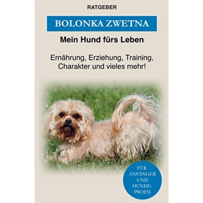 Abbildung von Bolonka Zwetna: Erziehung, Training, Charakter und vieles mehr von Zwetna!