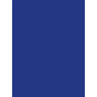 Abbildung von Clairefontaine 384558C Packung mit 25 Bögen Plakatpapier, 60x80cm, 90g, Marineblau, 1 Pack