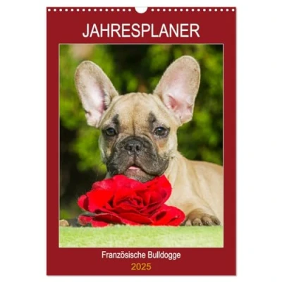 Abbildung von Jahresplaner Französische Bulldogge (Wandkalender 2025 DIN A3 hoch), CALVENDO Monatskalender