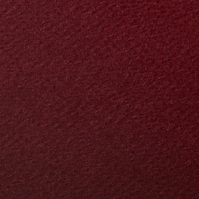 Abbildung von Clairefontaine 90864C Packung (mit 5 Bögen Zeichenpapier Etival Color, DIN A4, 21 x 29,7 cm, 160g, gekörnt, ideal für Trockentechnik und Einrahmen) bordeaux