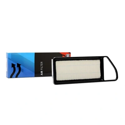 Abbildung von CHAMPION CAF100735P Luftfilter 47 138 386, 288 Filtereinsatz FORD: FIESTA 5, Fusion Kombi, PEUGEOT: 207 Schrägheck, CITROËN: C2 Schrägheck