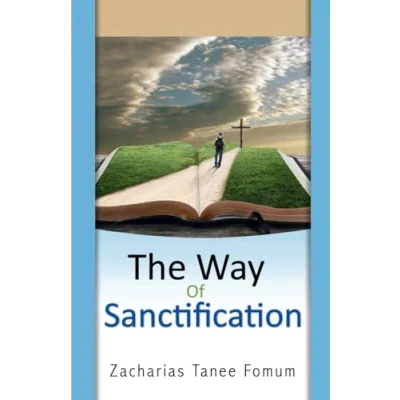 Abbildung von The Way of Sanctification (The Christian Way, Band 4)