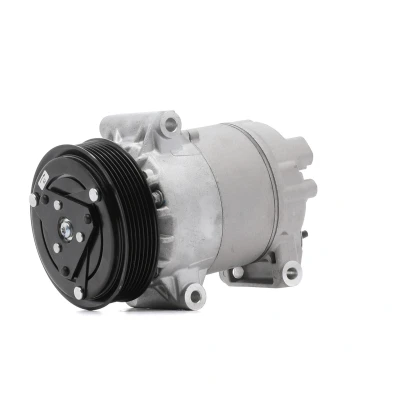 Abbildung von DELPHI TSP0155829 Kompressor 5CVC PAG 46 mit Kompressoröl RENAULT: SCENIC 2, MEGANE 2 Kombi, GRAND