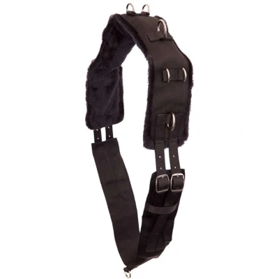 Abbildung von Premiere Lunging Tab Full Schwarz