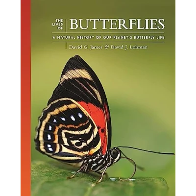 Abbildung von the Lives of Butterflies: A Natural History Our Planet&#039;s Butterfly Life (Lives World)