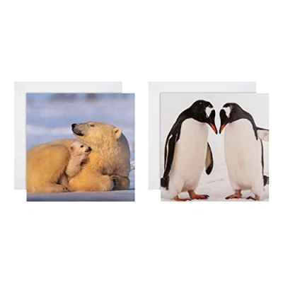 Abbildung von Hallmark Weihnachtskarten, 16 Stück in 2 National Geographic Designs, 25572277