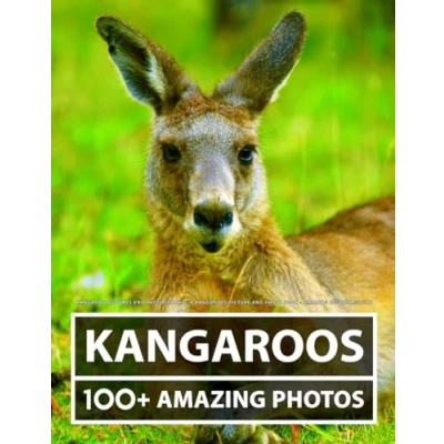 Abbildung von Kangaroo Pictures and Photography A Kangaroos Picture photo book Amazing Big Collection: 100+ of in this Beautiful