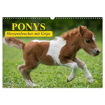 Abbildung von Ponys. Herzensbrecher mit Grips (Wandkalender 2025 DIN A3 quer), CALVENDO Monatskalender