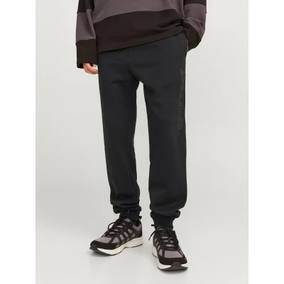 Abbildung von Jack &amp; Jones Jogging Regular FIT Jogginghose, Herren, Größe: Small, Black