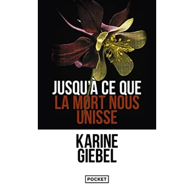 Abbildung von Jusqu&#039;à ce que la mort nous unisse: Thriller
