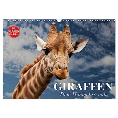 Abbildung von Giraffen. Dem Himmel so nah (Wandkalender 2025 DIN A3 quer), CALVENDO Monatskalender