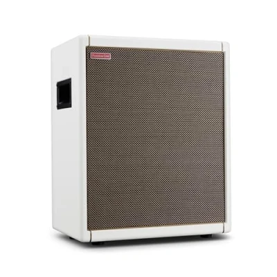 Abbildung von Positive Grid Spark CAB Gitarrenverstärker Lautsprecherbox für Verstärker der Serie, Mehrere Instrumente, Modeler und Mehr Perlweiß