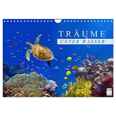 Abbildung von Träume unter Wasser (Wandkalender 2025 DIN A4 quer), CALVENDO Monatskalender