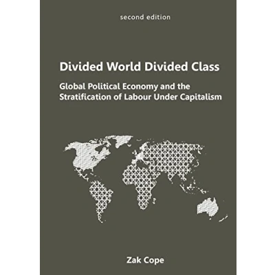 Abbildung von Divided World, Class: Global Political Economy and the Stratification of Labour Under Capitalism