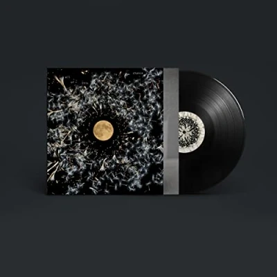 Abbildung von All of This Chance [Vinyl LP]