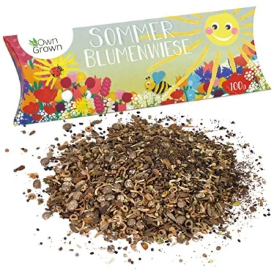Abbildung von Sommer Blumenwiese Samen: 100g Premium Sommerblumen Samen für bunte Bienenwiese Blumenmischung Wildblumensamen Mischung mehrjährig und einjährig Blumensamen Geschenk von OwnGrown