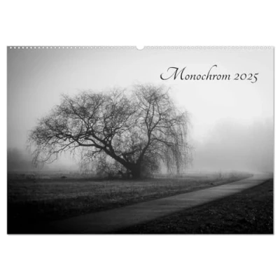 Abbildung von Monochrom 2025 (Wandkalender DIN A2 quer), CALVENDO Monatskalender