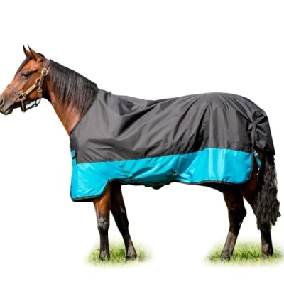 Abbildung von Mio Turnout Lite 0g Black/Turquoise 140/191