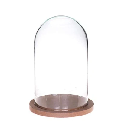 Abbildung von INNA Glas Glashaube HELVIN mit Holzboden, klar, 25cm, Ø14cm Glasglocke/Glaskuppel