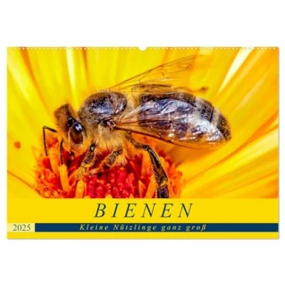 Abbildung von BIENEN Kleine Nützlinge ganz groß (Wandkalender 2025 DIN A2 quer), CALVENDO Monatskalender