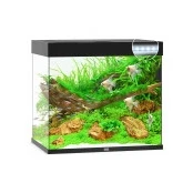 Abbildung von Juwel Aquarium Lido 200 Led 71x51x65 cm Aquarien Schwarz Ca. L...