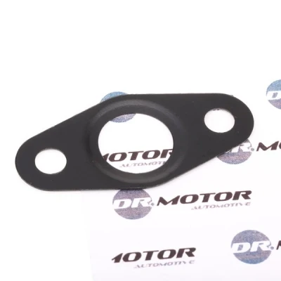 Abbildung von DR.MOTOR AUTOMOTIVE DRM01055 Dichtung, Ölauslass (Lader) BMW: 5 Limousine, Touring, 1 Cabrio, ALFA ROMEO: 159 Sportwagon, Limousine