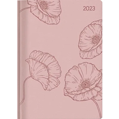 Abbildung von Ladytimer Deluxe Salmon 2023 Taschen Kalender A6 (10,7x15,2 cm) Tucson Einband mit Motivprägung Weekly 128 Seiten Alpha Edition