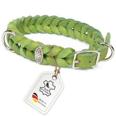 Abbildung von CopcoPet Fettleder Hundehalsband geflochten mit Dornschließe verchromt Handarbeit aus Deutschland Lederhalsband Apfelgrün 20 mm Breite 40 44 cm Halsumfang