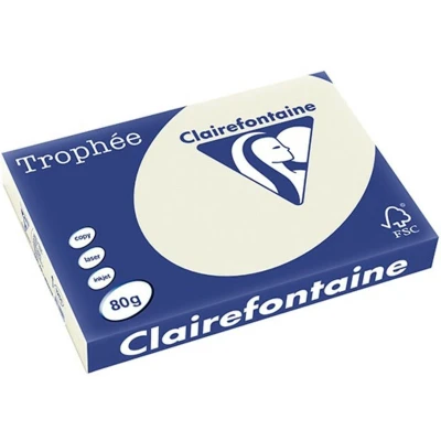 Abbildung von 5 x Clairefontaine Kopierpapier Trophee A3 80g/qm VE=500 Blatt perlgra