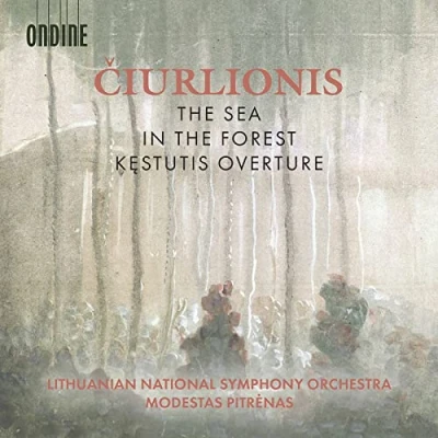 Abbildung von the Sea; in Forest; Kestutis Overt