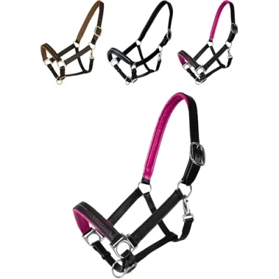 Abbildung von Halfter DIAMOND Leder schwarz/pink