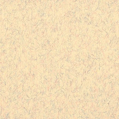 Abbildung von Clairefontaine 93504C Packung (mit 25 Blätter, 130 g, Ingres Pastell Papier, gekörnt, 50 x 65 cm, ideal für Trockentechnik) beige marmoriert