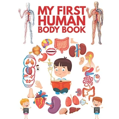 Abbildung von My First Human Body Book: The For Children, Look inside your body.