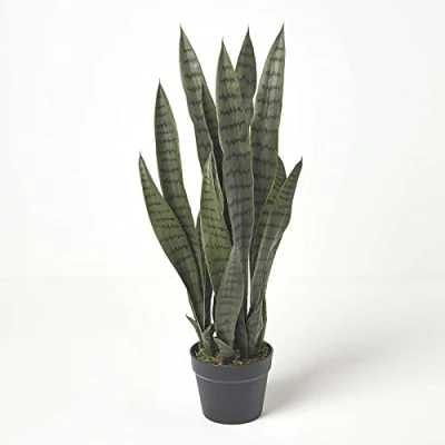 Abbildung von Homescapes Kunstpflanze Sansevieria Trifasciata, künstlicher Bogenhanf/Schwiegermutterzunge im Topf, grün, dekorative künstliche Sukkulente für den Indoor Bereich, 74 cm hoch