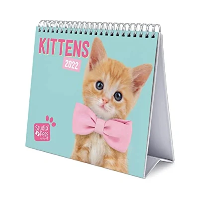 Abbildung von Grupo Erik Tischkalender 2022 Studio Pets Katze Kalender Tischplaner Planer