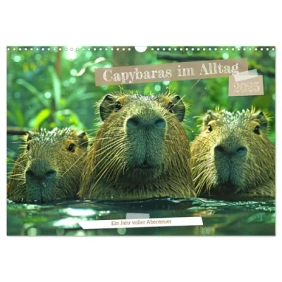 Abbildung von Capybaras im Alltag Ein Jahr voller Abenteuer (Wandkalender 2025 DIN A3 quer), CALVENDO Monatskalender