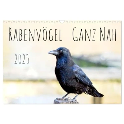 Abbildung von Rabenvögel ganz nah (Wandkalender 2025 DIN A3 quer), CALVENDO Monatskalender