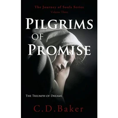 Abbildung von Pilgrims of Promise: A Novel (The Journey Souls Series, Band 3)