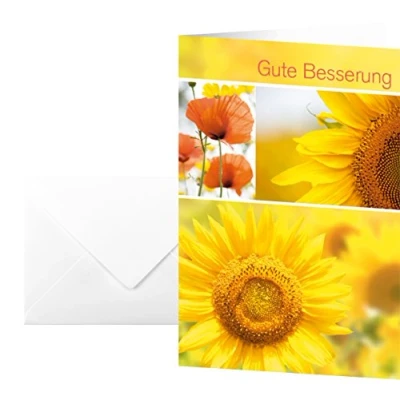Abbildung von SIGEL DS047 Karten gute Besserung, 10 Stück mit Umschlägen, ideal zum Bedrucken, aus nachhaltigem Papier