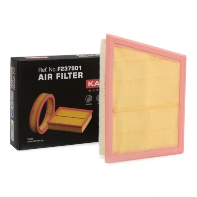 Abbildung von Luftfilter KAMOKA F237901