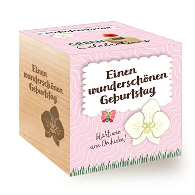 Abbildung von Feel Green 296572 Celebrations Ecocube, Orchideenbaum, Holzwürfel Mit Lasergravur «Einen Wunderschönen Geburtstag», Nachhaltige Geschenkidee, Anzuchtset, Made in Austria