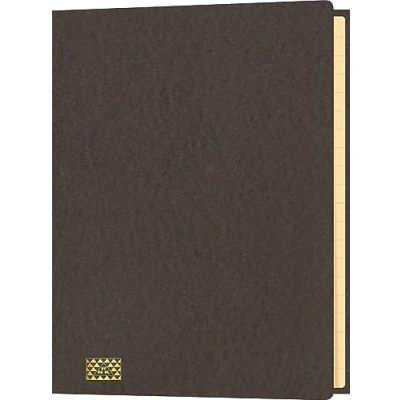 Abbildung von RNKVERLAG 4618 8 Konferenz und Ordnungsmappe mit Gummizug, Maße (BxH) 245 x 345 mm, bis DIN A4, 20 Fächer, braun, 1 Stück