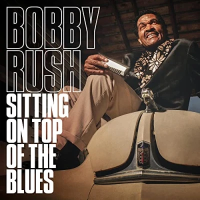 Abbildung von Sitting on Top of the Blues [Vinyl LP]