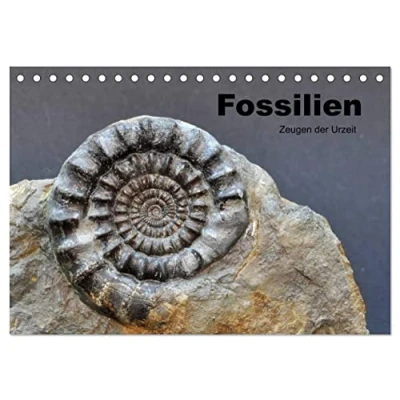 Abbildung von Fossilien Zeugen der Urzeit (Tischkalender 2025 DIN A5 quer), CALVENDO Monatskalender