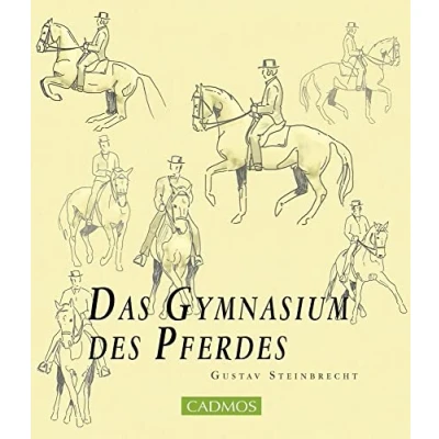 Abbildung von Das Gymnasium des Pferdes