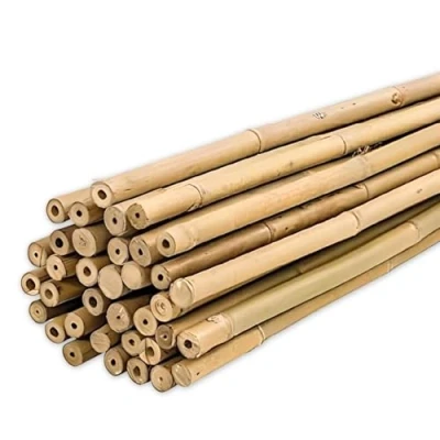 Abbildung von PLANTAWA Bambuspfähle 60 cm Packung 25 Stück Ø 6 8 Mm Pfähle Für Tomaten , Gemüse Und Baumpflanzen Pflanzpfähle Mit Verschiedenen Größen. Widerstandsfähige Bambusrohre