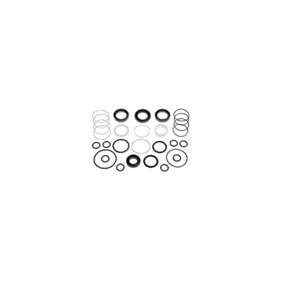 Abbildung von FEBI BILSTEIN 12308 Dichtungssatz, Lenkgetriebe BMW: 3 Limousine, Cabrio