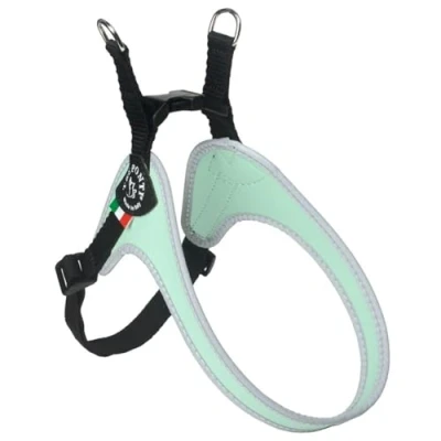 Abbildung von Tre Ponti Geschirr Easy Fit Classic with ADJ. Belly, Farbe:Minze/reflekt, Größe:4 56 70 cm/bis 14 kg